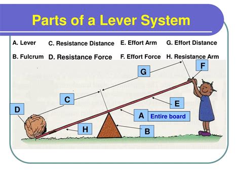 PPT - Lever Systems PowerPoint Presentation, free download - ID:6008248