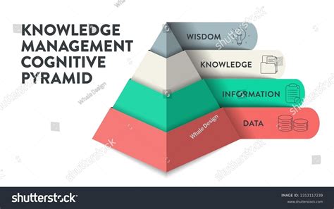 Knowledge Management Cognitive Pyramid Infographic Diagram Stock Vector ...