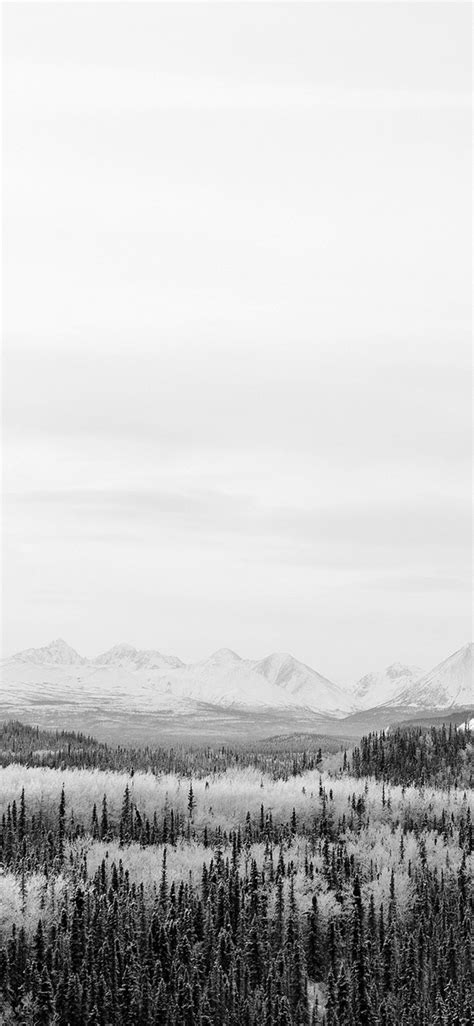 Winter Mountain Wood Nature Snow Bw iPhone X Wallpapers Free Download