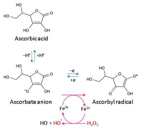 Antioxidant Properties of Ascorbic Acid | Encyclopedia MDPI