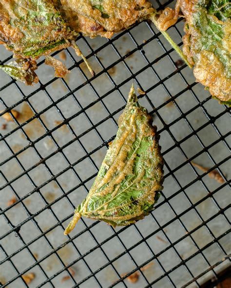 Turkey Stuffed Fried Shiso Leaves — Elevated Wild