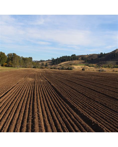 Bluebird Grain Farms - Eat Local First