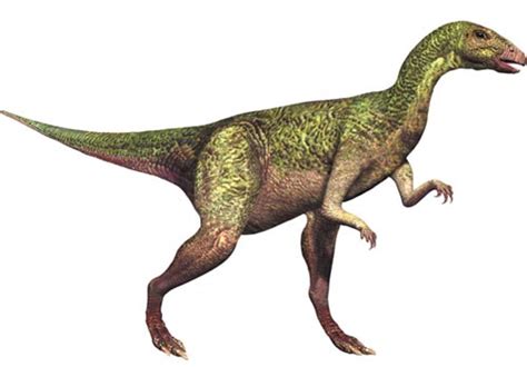 Dryosaurus - Dinopedia - the free dinosaur encyclopedia