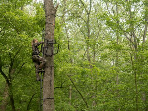 Put Safety Before Success This Bow Season Bowhunters United