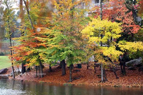 Fall Photography Autumn Trees Print Fall Foliage Landscape - Etsy