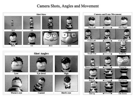 Type of Shot and Shooting Techniques | DAV TMD2133