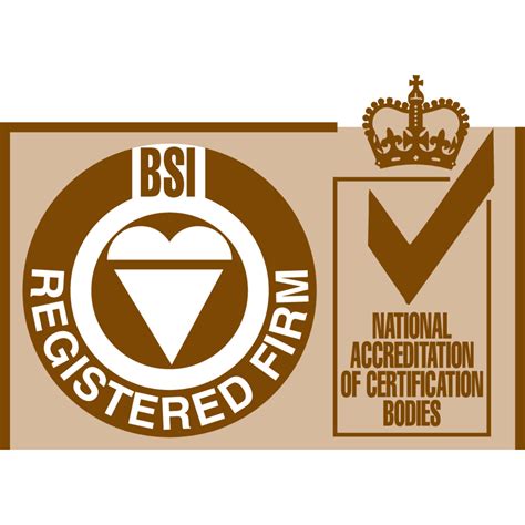 BSi logo, Vector Logo of BSi brand free download (eps, ai, png, cdr) formats