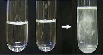 It also occurs in single displacement when one metal ion in solution is replaced by another ...