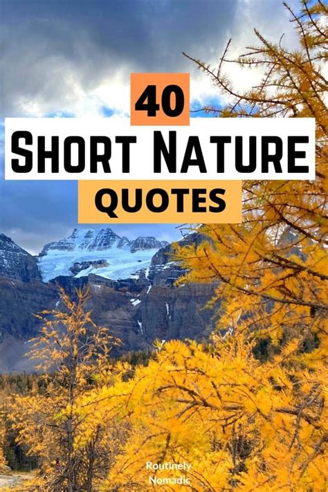 53 Short Nature Quotes: Best Inspirational Thoughts on Nature ...