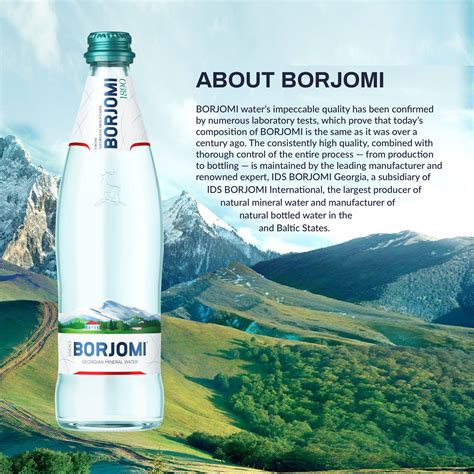 Borjomi Sparkling Water, 16.9 Fl. Oz. Glass Bottles (12 Pack) - Borjomi ...