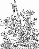 Gardening coloring pages To Download And Print For Free sketch template