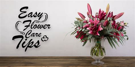 Easy Flower Care Tips For Long Lasting Bloom - Alistair Floral Design