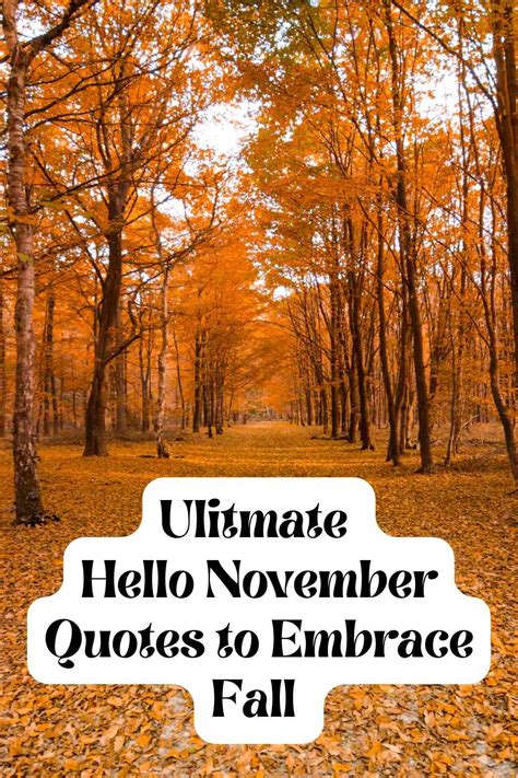 Ultimate Hello November Quotes to Embrace Fall - Darling Quote