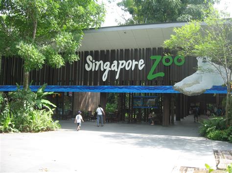 BEST TOURIST SPOTS: Singapore Zoo