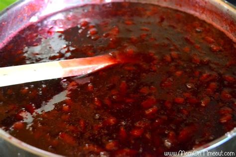 Homemade Plum Jam Recipe - Mom On Timeout