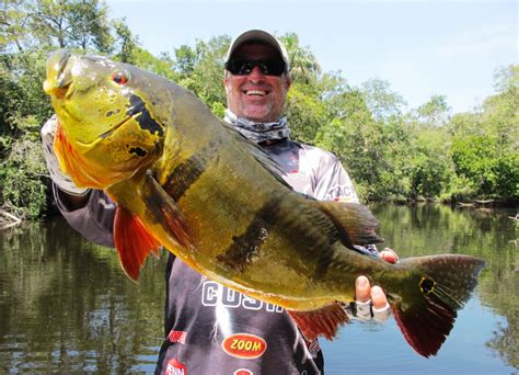 Peacock Bass Trophy Pictures - River Plate Anglers