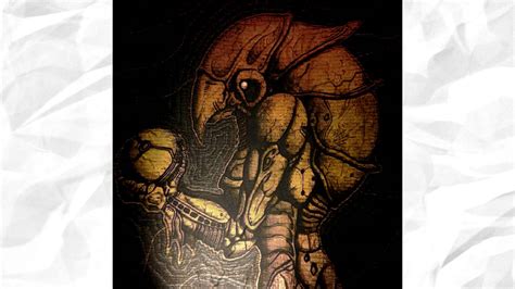 Metroid Lore : The Chozo - YouTube