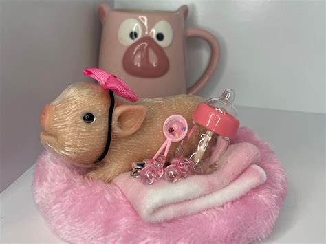 Silicone Teacup Pig Adoption Package - Etsy