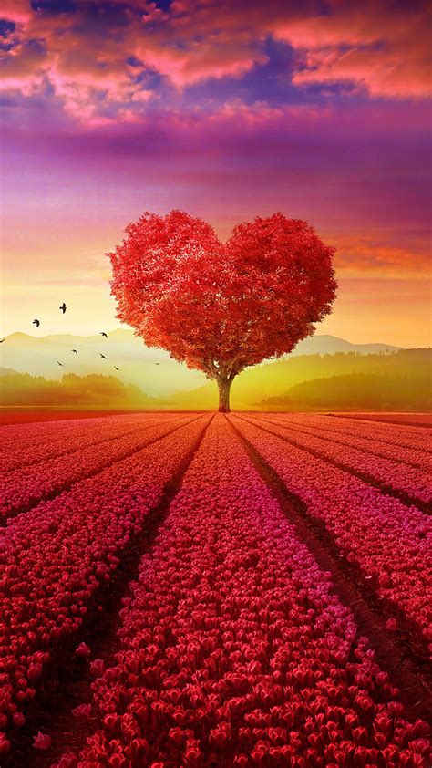 Heart Tree Field 4k In 1080x1920 Resolution | Love animation wallpaper, Tree wallpaper ...