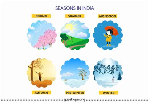 Seasons in India: Spring Season, Summer, Monsoon, Autumn, Etc.