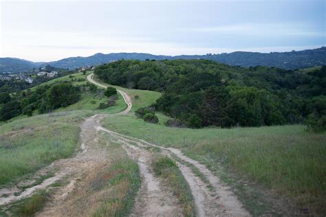 Dirt Path Road Ahead Calm Trail 8052481 Stock Photo at Vecteezy