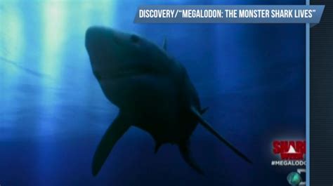 Shark Week 'Megalodon' Documentary Angers Fans | Windham, NH Patch