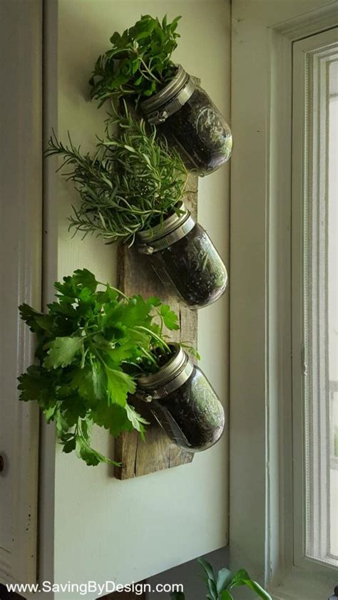 How to Make an Indoor Wall Mounted Herb Garden to Enjoy Fresh Herbs Year Round | Saving by Design