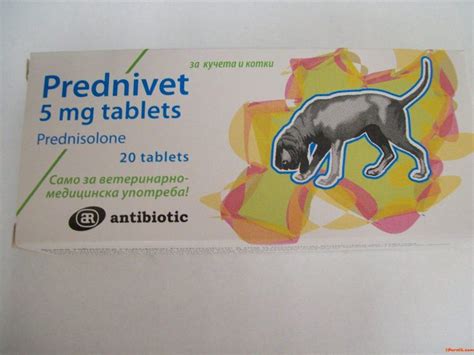 Prednisolone 5 mg Tablets For Dogs And Cats 1 box / 20 tablets – My Blog