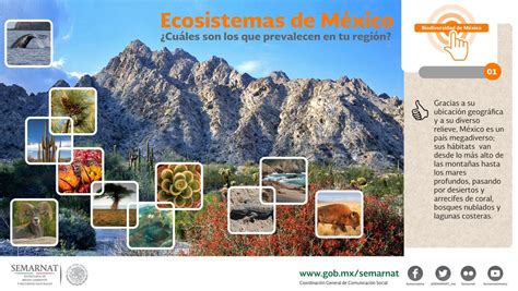 De los #ecosistemas en #méxico, ¿cuáles son los que prevalecen en tu región? # ...