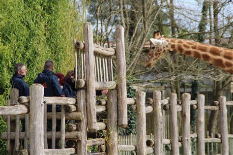 La Flèche : « Une Saison au Zoo » : c'est parti pour la 10e saison sur France 4