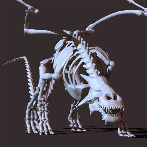 Dragon Skeleton 3D Model in Fantasy 3DExport