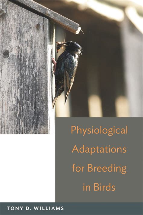 Physiological Adaptations for Breeding in Birds - Nokomis