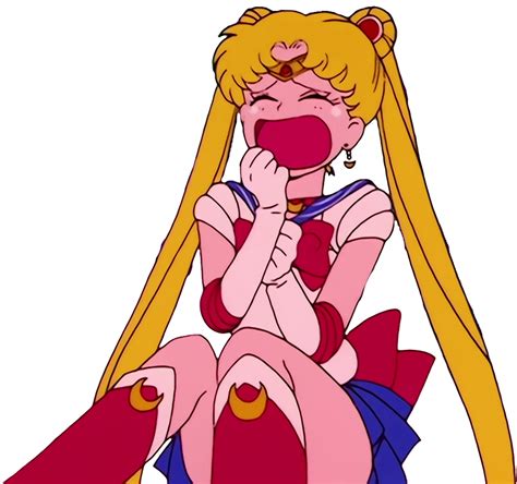 Sailor Moon crying vector by HomerSimpson1983 on DeviantArt