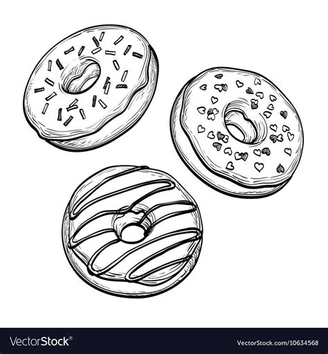 Sketch of donuts vector image on VectorStock | Donut vector, Colored ...