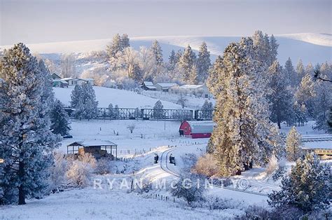 Palouse Winter Frost | Palouse, Winter frost, Winter