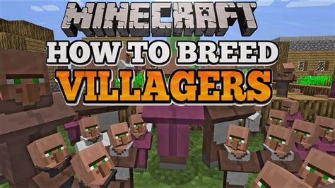 How To Make Villagers Mate Minecraft