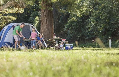 Best campgrounds near Sydney | NSW National Parks