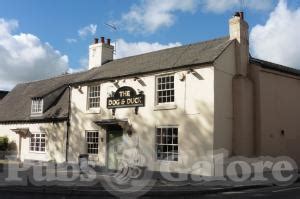 Dog & Duck in Shardlow (near Derby) : Pubs Galore