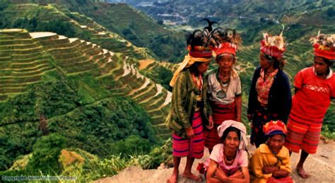 Cordillera Terraces, Philippines – Original ‘Stairway to Heaven’ (31.05 ...