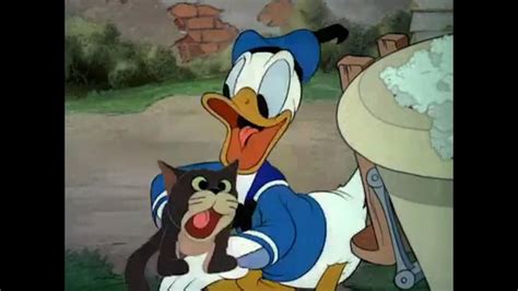 50 x Donald Duck Cartoons – Over 6 Hours Non-Stop | Best Insurance Info on the Web