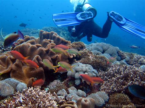 Bali Diving: a first-timer guide - World Adventure Divers