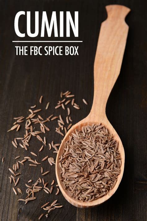 The Spice Box – Getting to Know Cumin | Food Bloggers of Canada