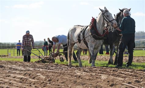 What’s your favorite prayer? Irish asked at Ploughing Championships – CatholicPhilly