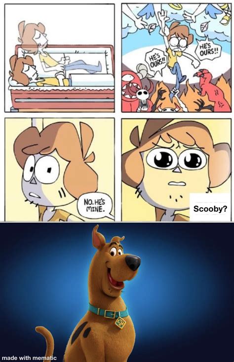 Shaggy? : r/memes