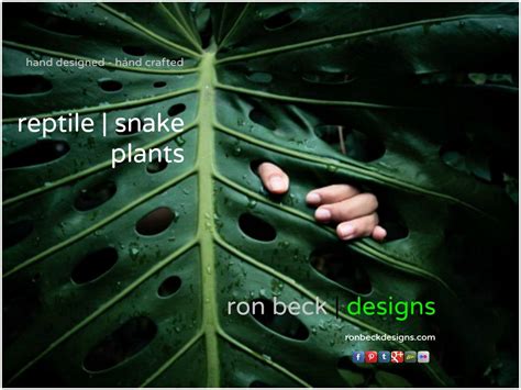 Reptile Decor Plants-snake Habitat Plants By Ron Beck Designs