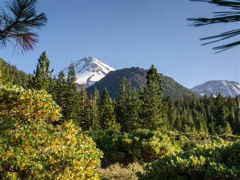 7 Best Hikes Near Mt Shasta: Hiking Trails For All Levels! | Best hikes ...