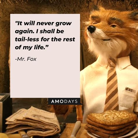 40 'Fantastic Mr. Fox' Quotes to Tempt You off the Straight and Narrow