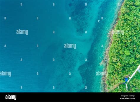 Exotic idyllic sea island with green tree forest aerial view Stock Photo - Alamy