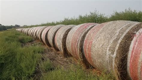 Oat Hay Round Bales - High Nitrates - Nex-Tech Classifieds