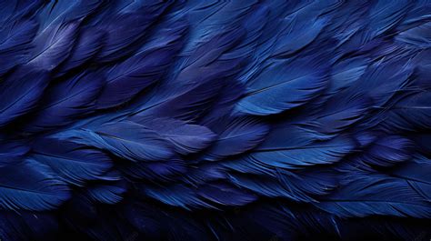 Inky Blue Plumage Pattern Adorned On A Jet Black Backdrop Background, Soft, Feather Background ...